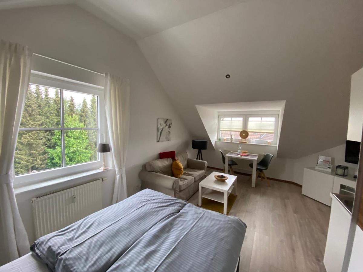 Harztraum-17 Apartment Braunlage Exterior photo